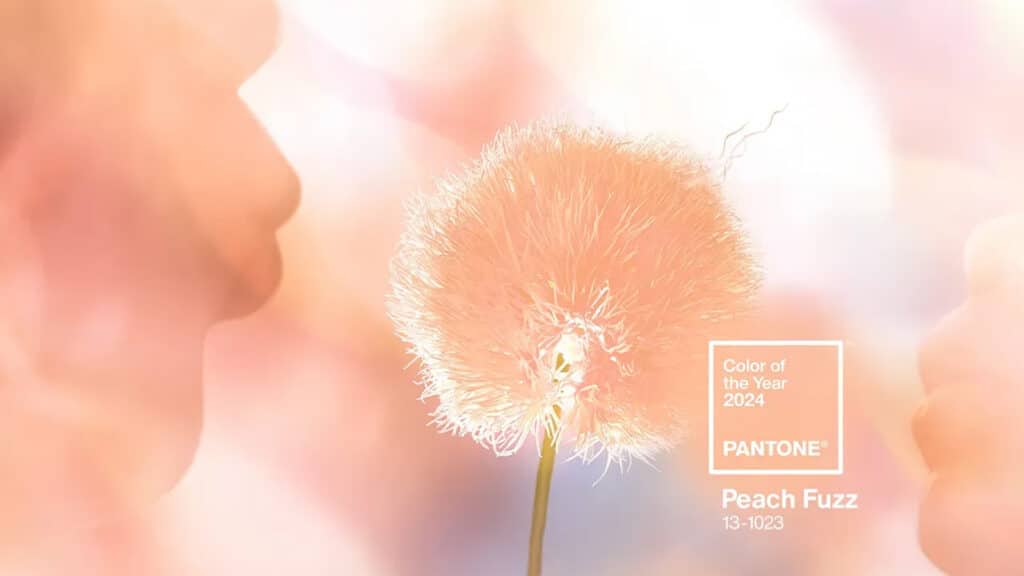 Pantone Colour of the Year 2024, Peach Fuzz.